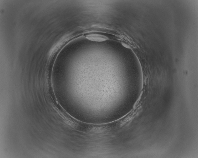 X0000074040341200608281450