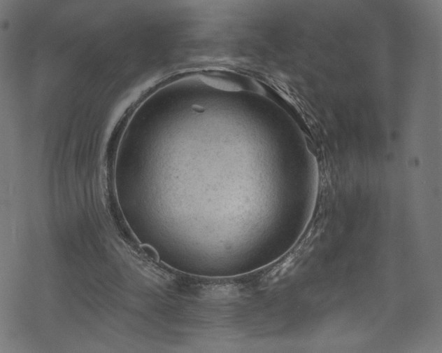 X0000074040342200608281450