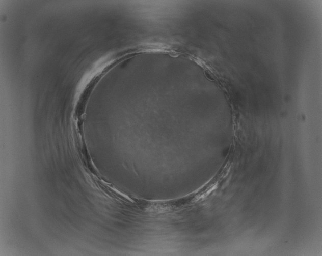 X0000074040343200608281450