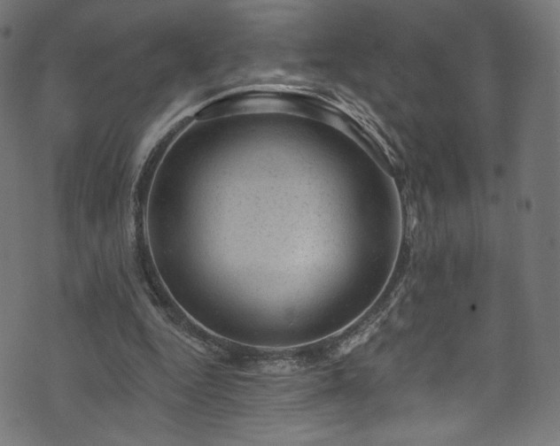 X0000074040344200608281450