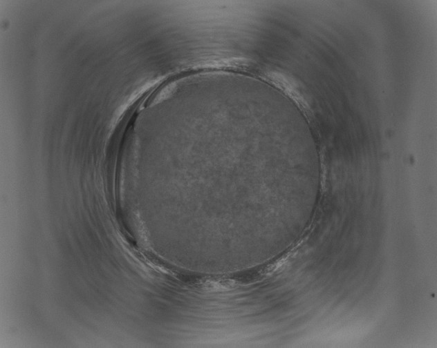 X0000074040346200608281450