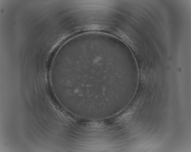 X0000074040347200608281450