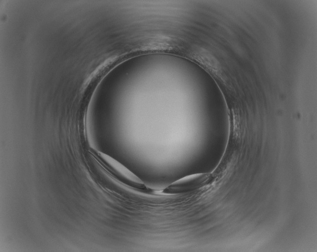 X0000074040348200608281450