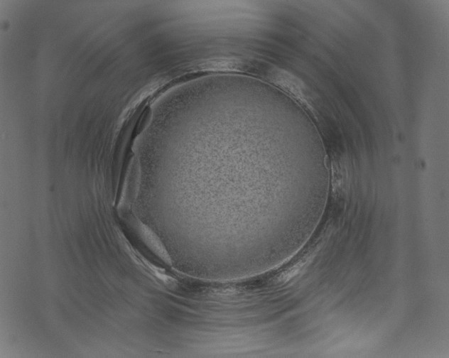 X0000074040349200608281450