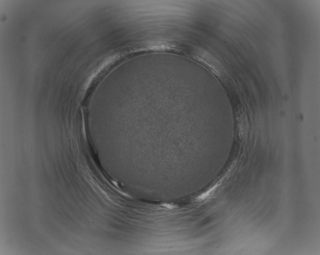 X0000074040350200608281450