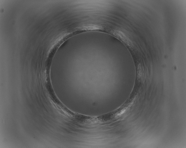 X0000074040351200608281450