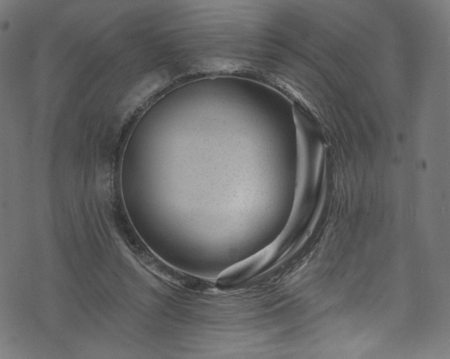 X0000074040352200608281450