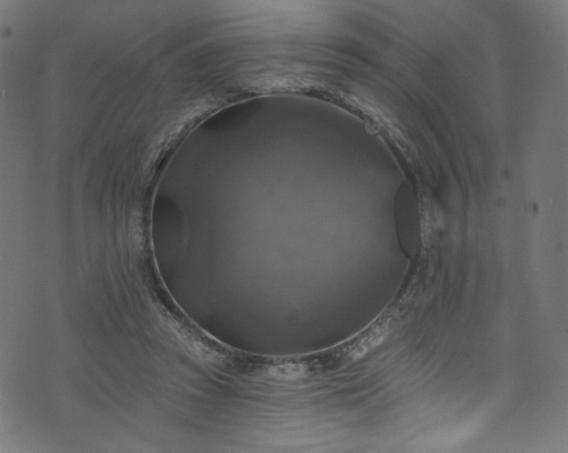 X0000074040353200608281450