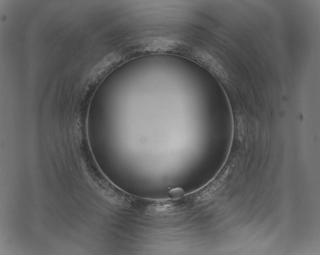 X0000074040354200608281450