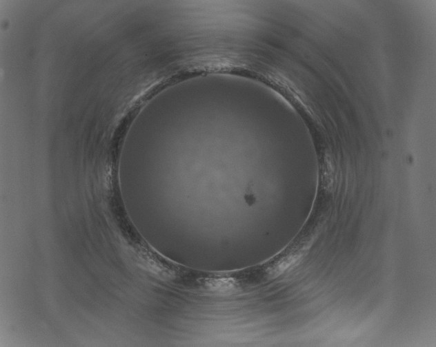 X0000074040355200608281450