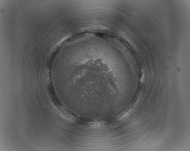 X0000074040356200608281450