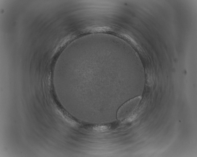 X0000074040357200608281450