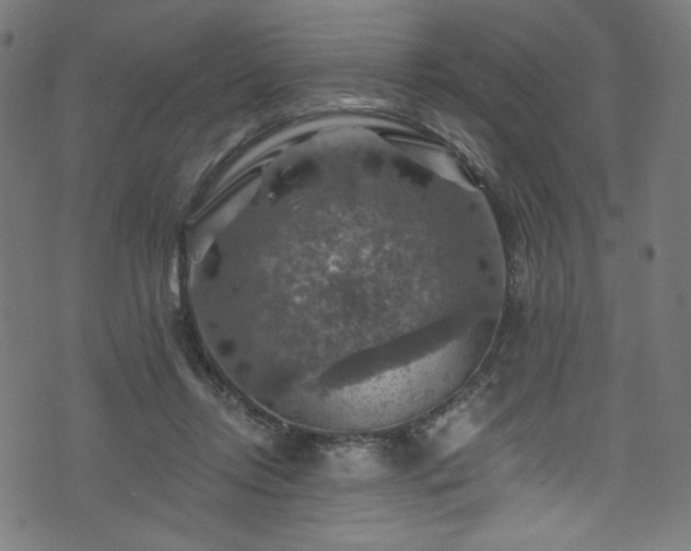 X0000074040358200608281450