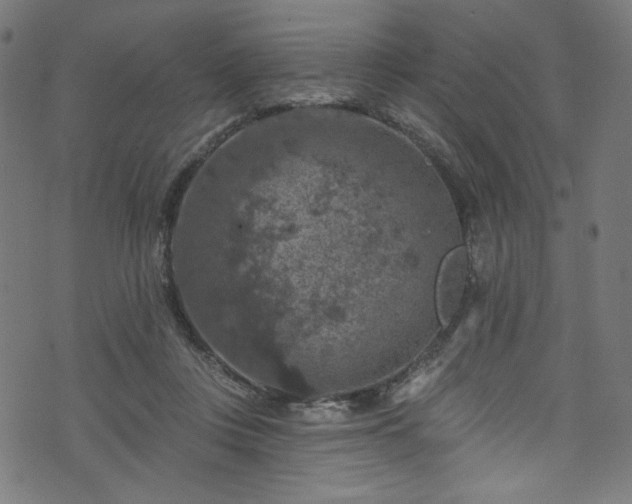 X0000074040359200608281450