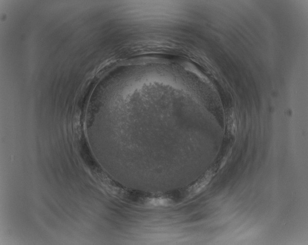 X0000074040360200608281450