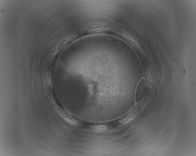 X0000074040361200608281450