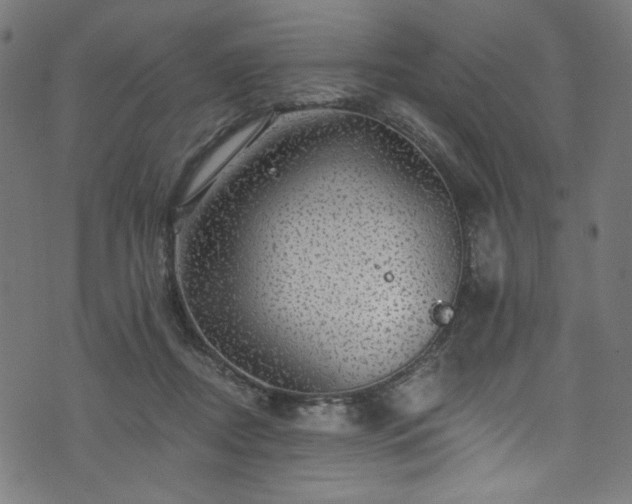 X0000074040362200608281450