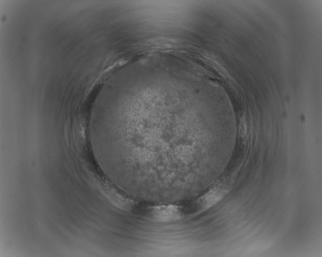 X0000074040363200608281450