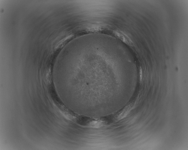 X0000074040364200608281450