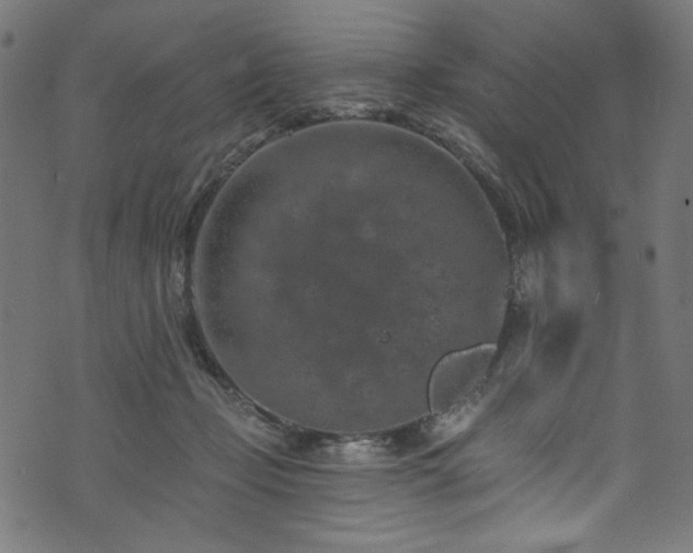 X0000074040365200608281450