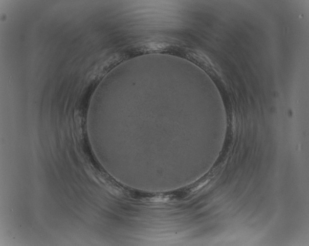 X0000074040366200608281450