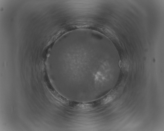 X0000074040367200608281450