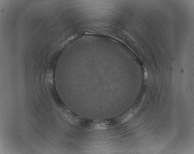 X0000074040368200608281450