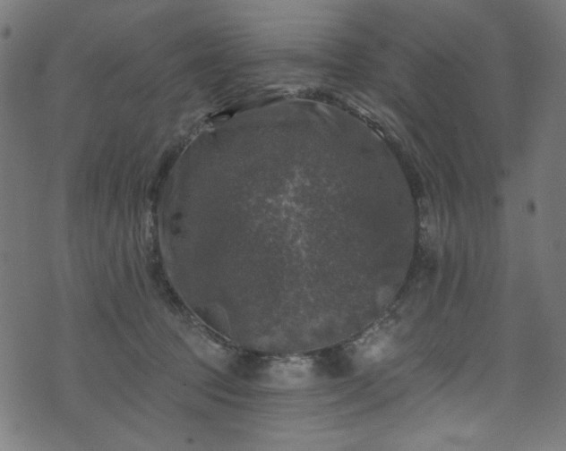 X0000074040369200608281450