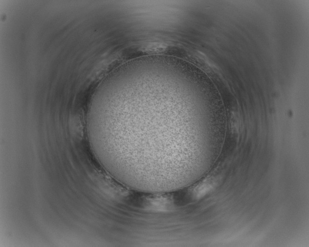 X0000074040370200608281450