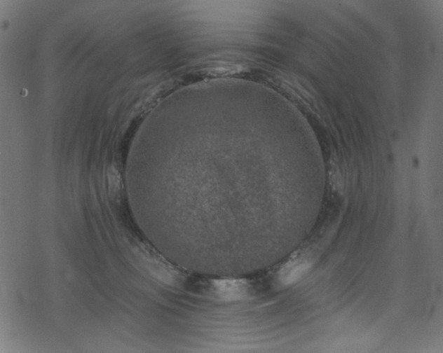 X0000074040371200608281450