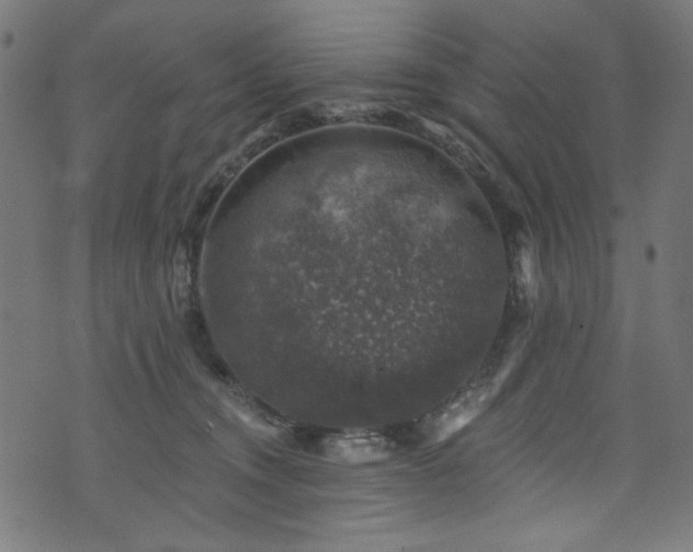 X0000074040372200608281450