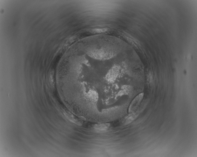 X0000074040373200608281450