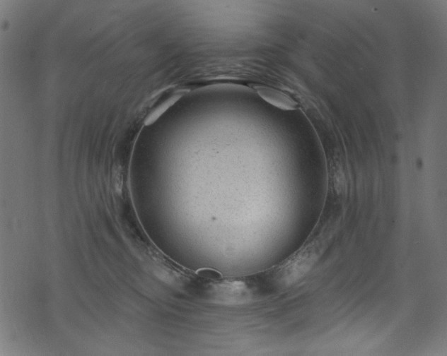 X0000074040374200608281450