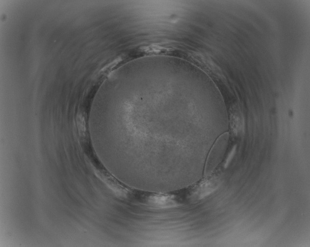 X0000074040375200608281450