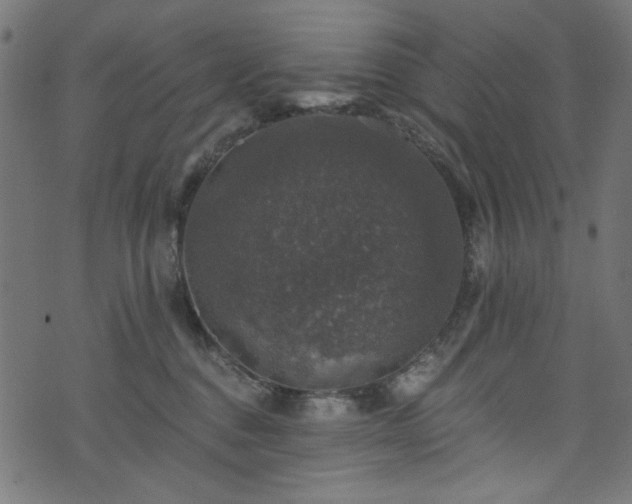 X0000074040376200608281450