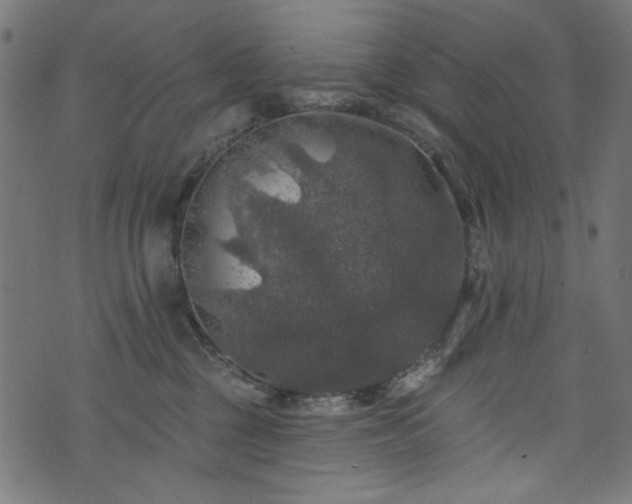 X0000074040377200608281451