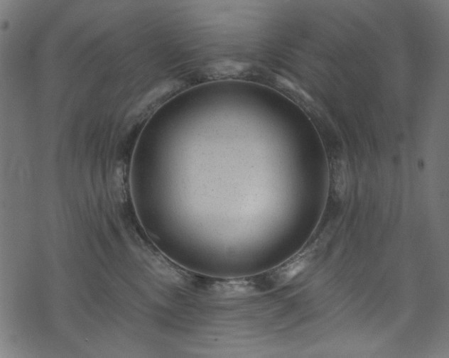 X0000074040378200608281451