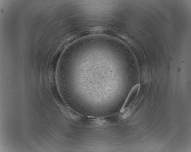 X0000074040379200608281451