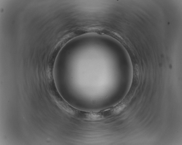 X0000074040380200608281451