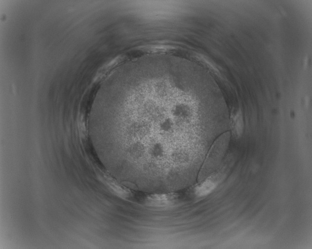 X0000074040381200608281451