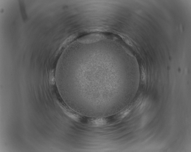 X0000074040383200608281451