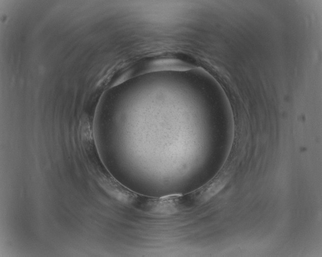 X0000074040384200608281451