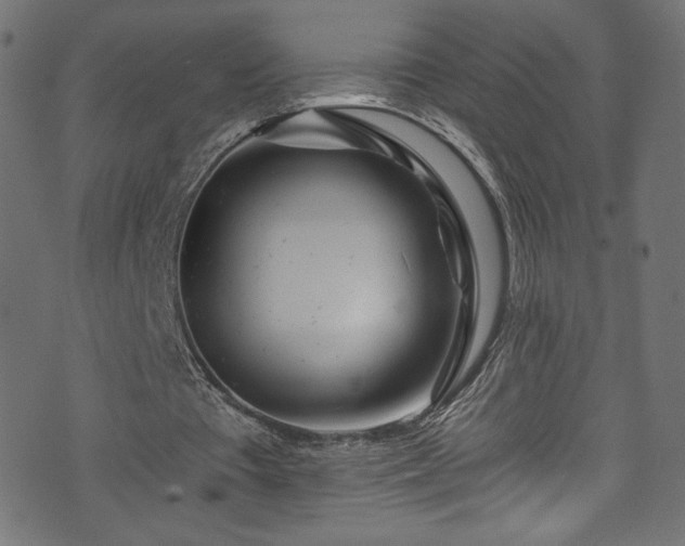 X0000074040385200608281450