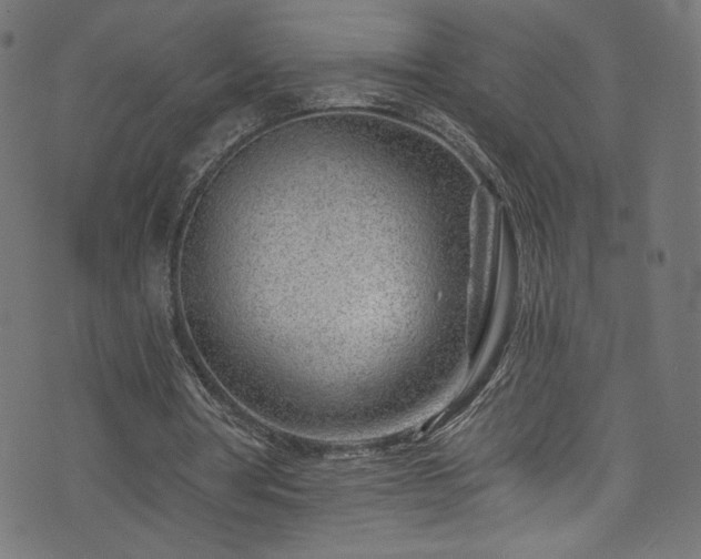 X0000074040386200608281450