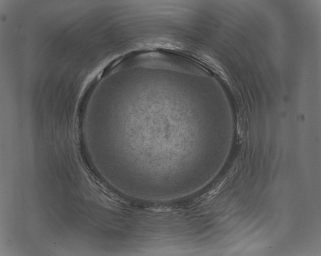 X0000074040388200608281450