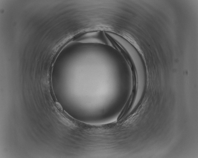 X0000074040389200608281450