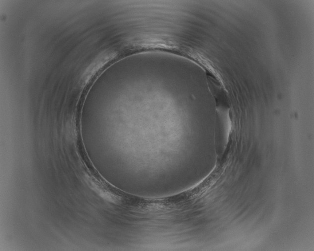 X0000074040390200608281450