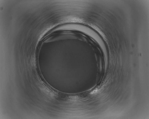 X0000074040391200608281450