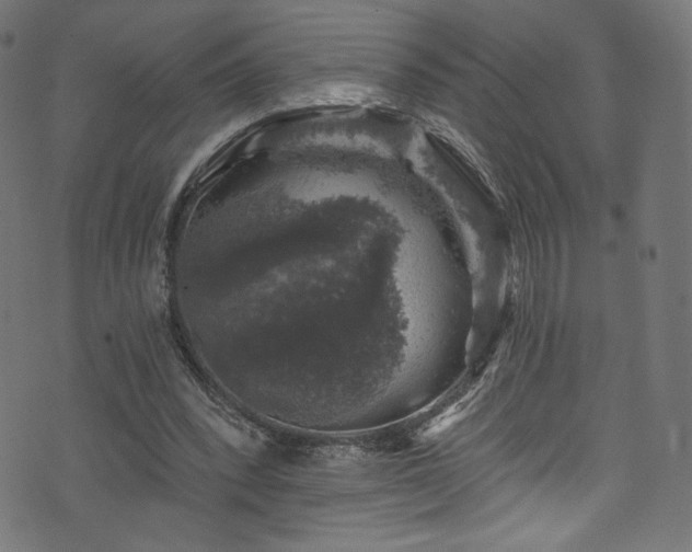 X0000074040392200608281450