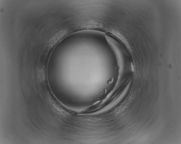 X0000074040393200608281450